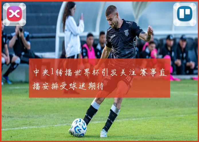 中央1转播世界杯引发关注 赛事直播安排受球迷期待