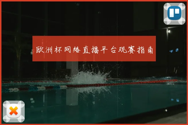 欧洲杯网络直播平台观赛指南
