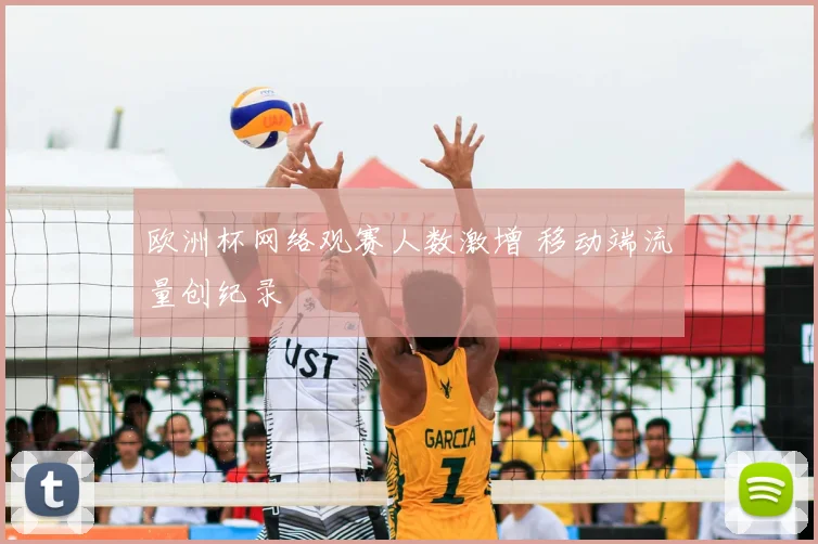 欧洲杯网络观赛人数激增 移动端流量创纪录