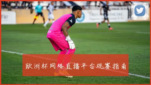 欧洲杯网络直播平台观赛指南