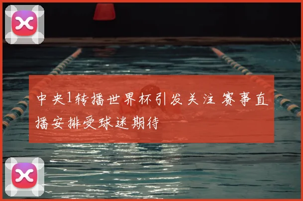 中央1转播世界杯引发关注 赛事直播安排受球迷期待