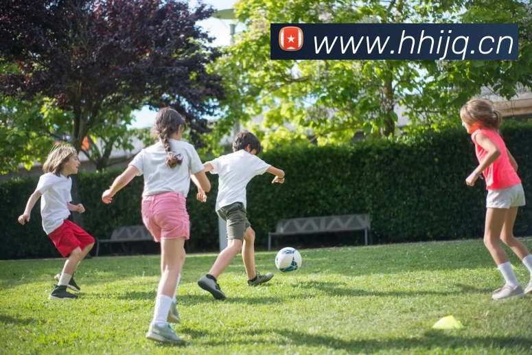 App Interface Preview